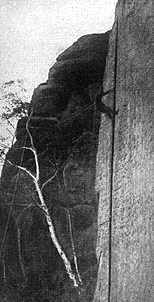 Photo: Gutsmann, Dresdeen